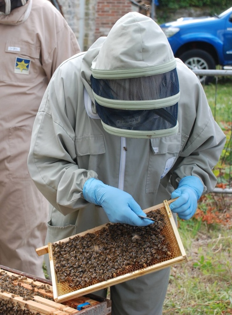 Other image for Val is always in a hive of activity